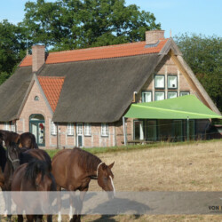 Sonnensegel an Fachwerkhaus Aufrollbares Sonnensegel in grün an einem Fachwerkhaus in einem Reithof in Wangels