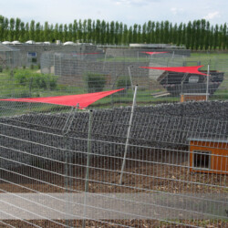 Sonnenschutz für Tiere Sonnenschutz-Segel in Hunde-Gehegen im Tierheim Berlin