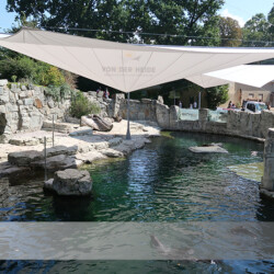 Sonnensegel in Zoo Frankfurt Zoo-Frankfurt Rollbare-Sonnensegel für Robben und Seebären