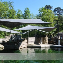 Highend Sonnensegel in Zoo München Highend Sonnensegel in Zoo Hellabrunn München über Robbengehege