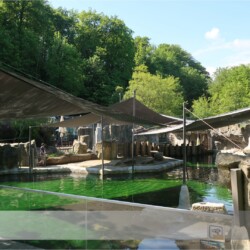 Highend Sonnensegel in Zoo München Highend Sonnensegel in Zoo Hellabrunn München über Robbengehege