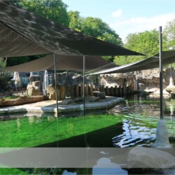 Highend Sonnensegel in Zoo München Highend Sonnensegel in Zoo Hellabrunn München über Robbengehege